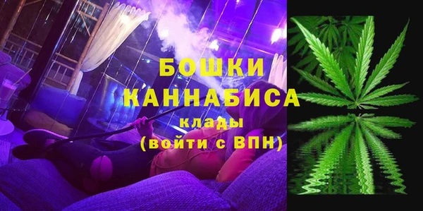 PSILOCYBIN Верхний Тагил