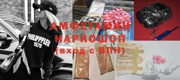 прущие грибы Вязьма