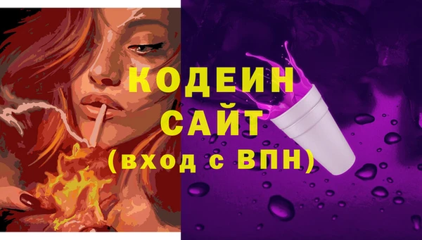 прущие грибы Вязьма